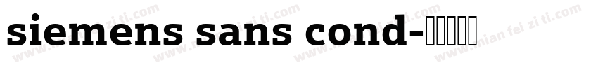 siemens sans cond字体转换